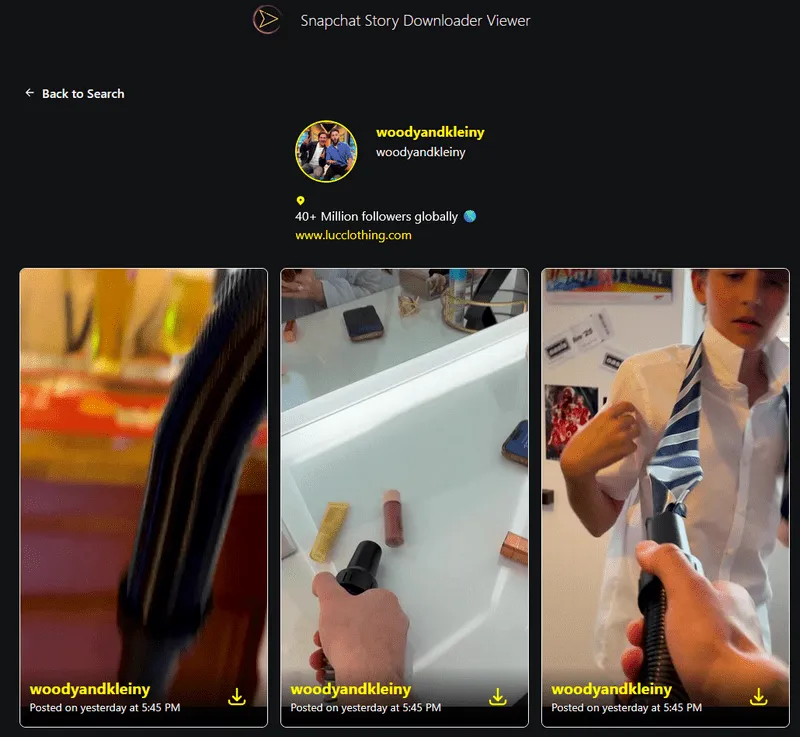 Snapchat online viewer